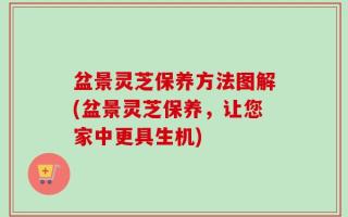 盆景灵芝保养方法图解(盆景灵芝保养，让您家中更具生机)