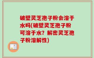 破壁灵芝孢子粉会溶于水吗(破壁灵芝孢子粉可溶于水？解密灵芝孢子粉溶解性)