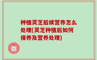 种植灵芝后续营养怎么处理(灵芝种植后如何保养及营养处理)
