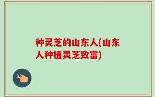 种灵芝的山东人(山东人种植灵芝致富)