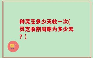 种灵芝多少天收一次(灵芝收割周期为多少天？)
