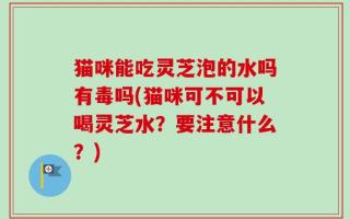 猫咪能吃灵芝泡的水吗有毒吗(猫咪可不可以喝灵芝水？要注意什么？)
