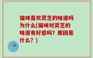 猫咪喜欢灵芝的味道吗为什么(猫咪对灵芝的味道有好感吗？原因是什么？)