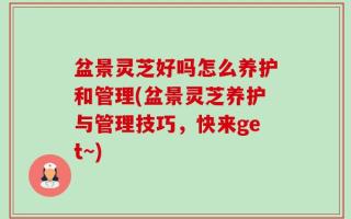 盆景灵芝好吗怎么养护和管理(盆景灵芝养护与管理技巧，快来get~)