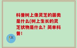 科普树上像灵芝的菌类是什么(树上生长的灵芝状物是什么？简单科普！