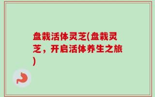 盘栽活体灵芝(盘栽灵芝，开启活体养生之旅)
