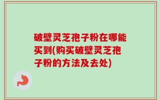 破壁灵芝孢子粉在哪能买到(购买破壁灵芝孢子粉的方法及去处)