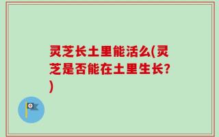 灵芝长土里能活么(灵芝是否能在土里生长？)