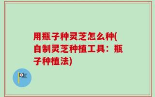用瓶子种灵芝怎么种(自制灵芝种植工具：瓶子种植法)