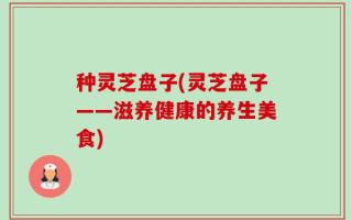 种灵芝盘子(灵芝盘子——滋养健康的养生美食)