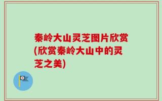 秦岭大山灵芝图片欣赏(欣赏秦岭大山中的灵芝之美)