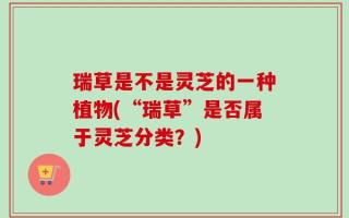 瑞草是不是灵芝的一种植物(“瑞草”是否属于灵芝分类？)