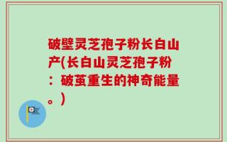 破壁灵芝孢子粉长白山产(长白山灵芝孢子粉：破茧重生的神奇能量。)