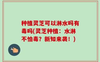 种植灵芝可以淋水吗有毒吗(灵芝种植：水淋不怕毒？新知来袭！)