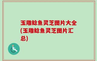 玉雕鲶鱼灵芝图片大全(玉雕鲶鱼灵芝图片汇总)