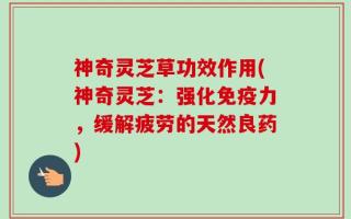 神奇灵芝草功效作用(神奇灵芝：强化免疫力，缓解疲劳的天然良药)