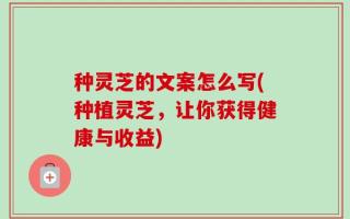 种灵芝的文案怎么写(种植灵芝，让你获得健康与收益)