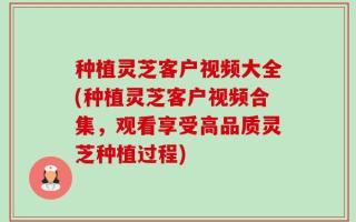 种植灵芝客户视频大全(种植灵芝客户视频合集，观看享受高品质灵芝种植过程)