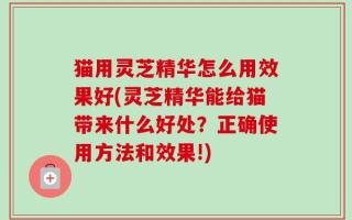 猫用灵芝精华怎么用效果好(灵芝精华能给猫带来什么好处？正确使用方法和效果!)