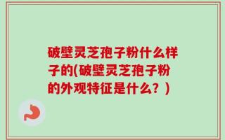 破壁灵芝孢子粉什么样子的(破壁灵芝孢子粉的外观特征是什么？)