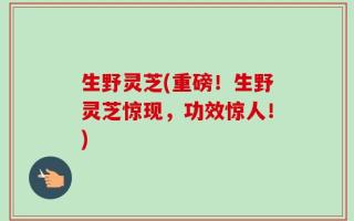 生野灵芝(重磅！生野灵芝惊现，功效惊人！)