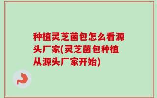 种植灵芝菌包怎么看源头厂家(灵芝菌包种植从源头厂家开始)