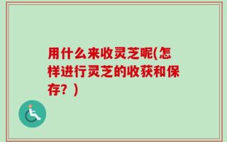 用什么来收灵芝呢(怎样进行灵芝的收获和保存？)