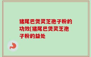 猪尾巴煲灵芝孢子粉的功效(猪尾巴煲灵芝孢子粉的益处