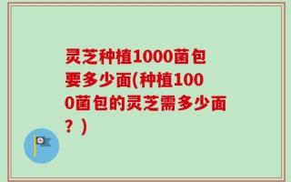 灵芝种植1000菌包要多少面(种植1000菌包的灵芝需多少面？)