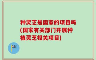 种灵芝是国家的项目吗(国家有关部门开展种植灵芝相关项目)
