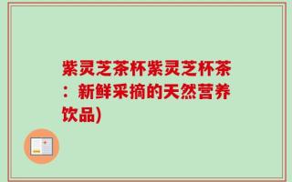 紫灵芝茶杯紫灵芝杯茶：新鲜采摘的天然营养饮品)
