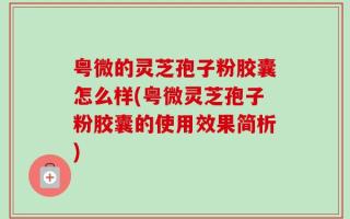 粤微的灵芝孢子粉胶囊怎么样(粤微灵芝孢子粉胶囊的使用效果简析)