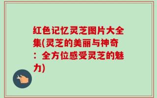 红色记忆灵芝图片大全集(灵芝的美丽与神奇：全方位感受灵芝的魅力)