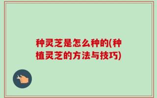 种灵芝是怎么种的(种植灵芝的方法与技巧)