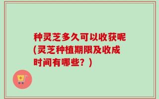 种灵芝多久可以收获呢(灵芝种植期限及收成时间有哪些？)