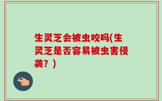 生灵芝会被虫咬吗(生灵芝是否容易被虫害侵袭？)
