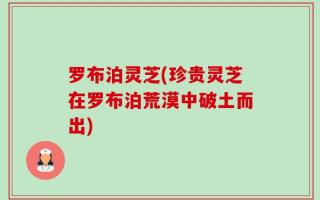 罗布泊灵芝(珍贵灵芝在罗布泊荒漠中破土而出)