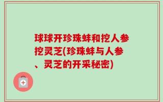 球球开珍珠蚌和挖人参挖灵芝(珍珠蚌与人参、灵芝的开采秘密)