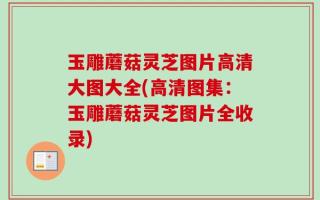 玉雕蘑菇灵芝图片高清大图大全(高清图集：玉雕蘑菇灵芝图片全收录)