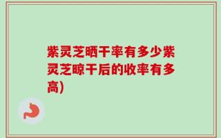 紫灵芝晒干率有多少紫灵芝晾干后的收率有多高)