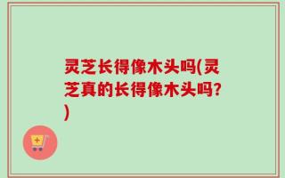 灵芝长得像木头吗(灵芝真的长得像木头吗？)