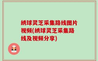 绣球灵芝采集路线图片视频(绣球灵芝采集路线及视频分享)