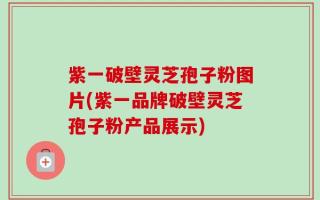 紫一破壁灵芝孢子粉图片(紫一品牌破壁灵芝孢子粉产品展示)