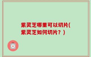 紫灵芝哪里可以切片(紫灵芝如何切片？)