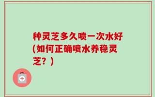 种灵芝多久喷一次水好(如何正确喷水养稳灵芝？)