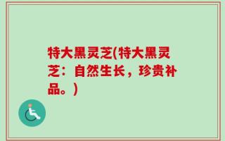 特大黑灵芝(特大黑灵芝：自然生长，珍贵补品。)