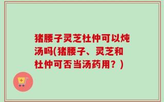 猪腰子灵芝杜仲可以炖汤吗(猪腰子、灵芝和杜仲可否当汤药用？)
