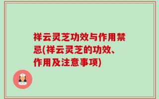 祥云灵芝功效与作用禁忌(祥云灵芝的功效、作用及注意事项)