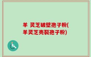 羊 灵芝破壁孢子粉(羊灵芝壳裂孢子粉)