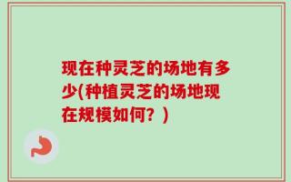 现在种灵芝的场地有多少(种植灵芝的场地现在规模如何？)